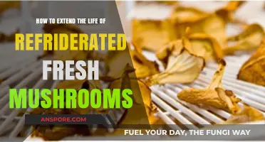 Maximize Freshness: Simple Tips to Prolong Refrigerated Mushroom Lifespan