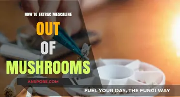 Extracting Mescaline from Mushrooms: A Comprehensive Guide for Beginners