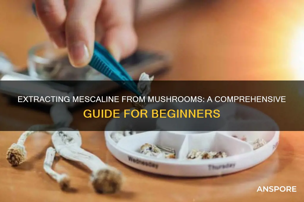 how to extrac mescaline out of mushrooms