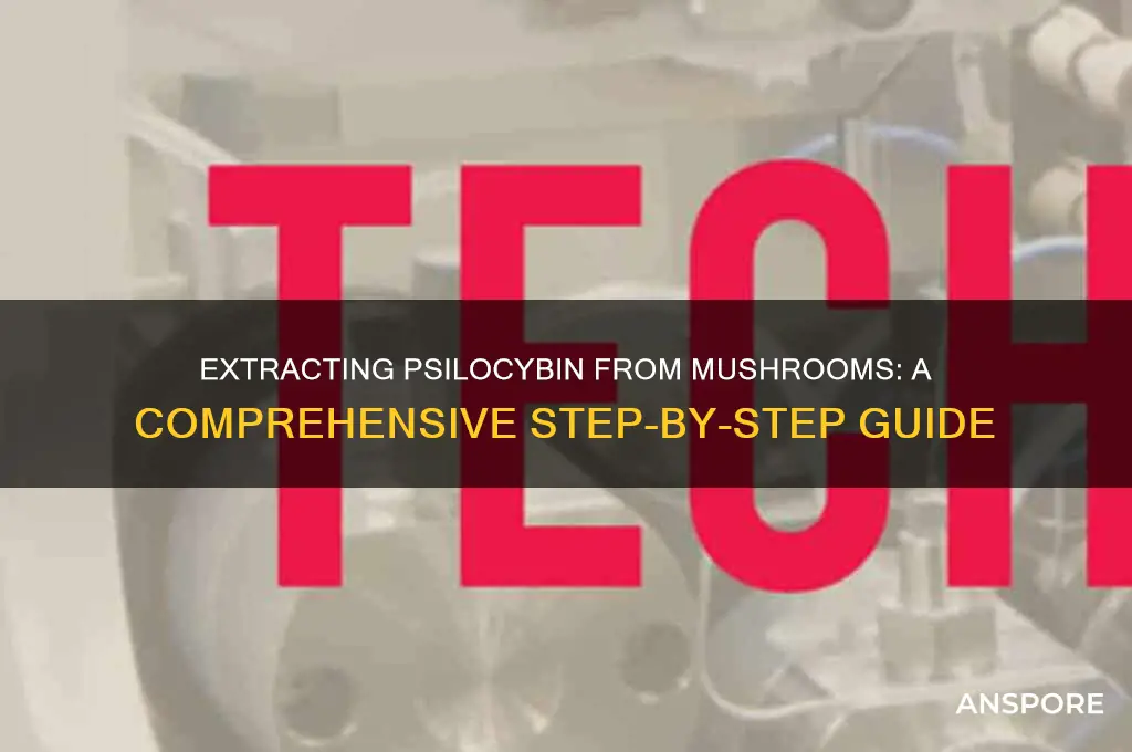how to extrace psylocibin from mushrooms