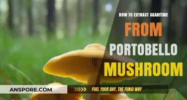 Extracting Agaritine from Portobello Mushrooms: A Step-by-Step Guide
