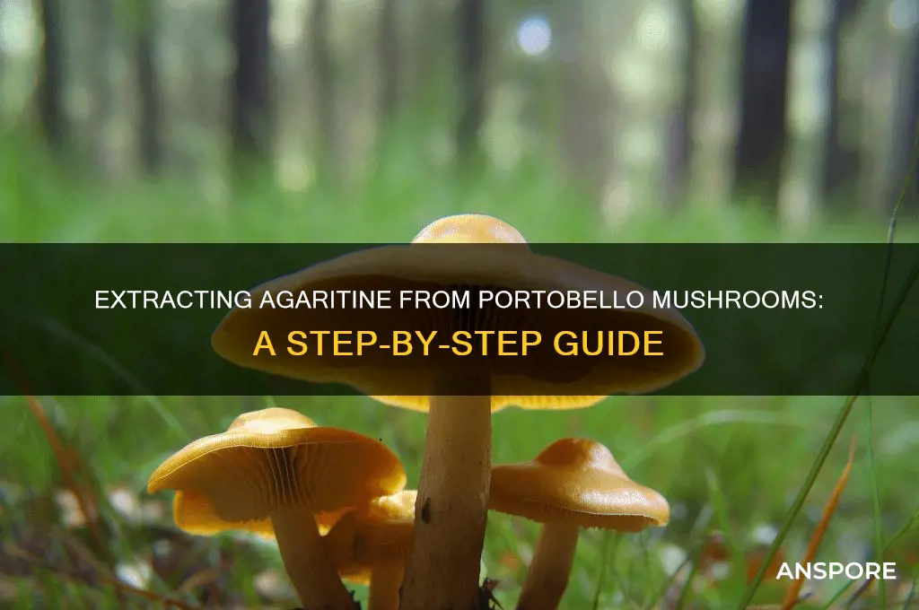 how to extract agaritine from portobello mushrooms