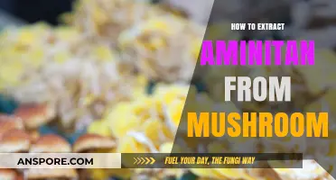 Extracting Aminitan from Mushrooms: A Step-by-Step Guide for Beginners