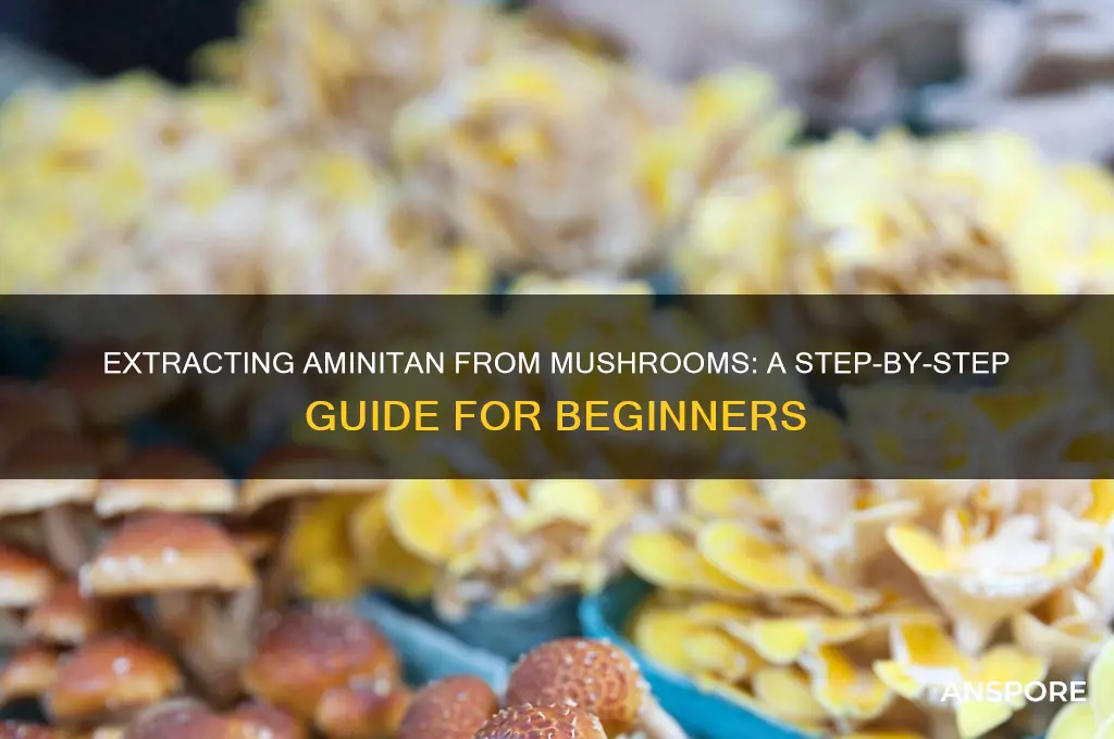 how to extract aminitan from mushrooms