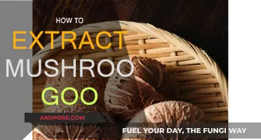 Harvesting Mushroom Goo: A Step-by-Step Guide