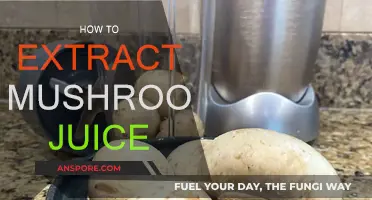 Extracting Mushroom Juice: A Step-by-Step Guide
