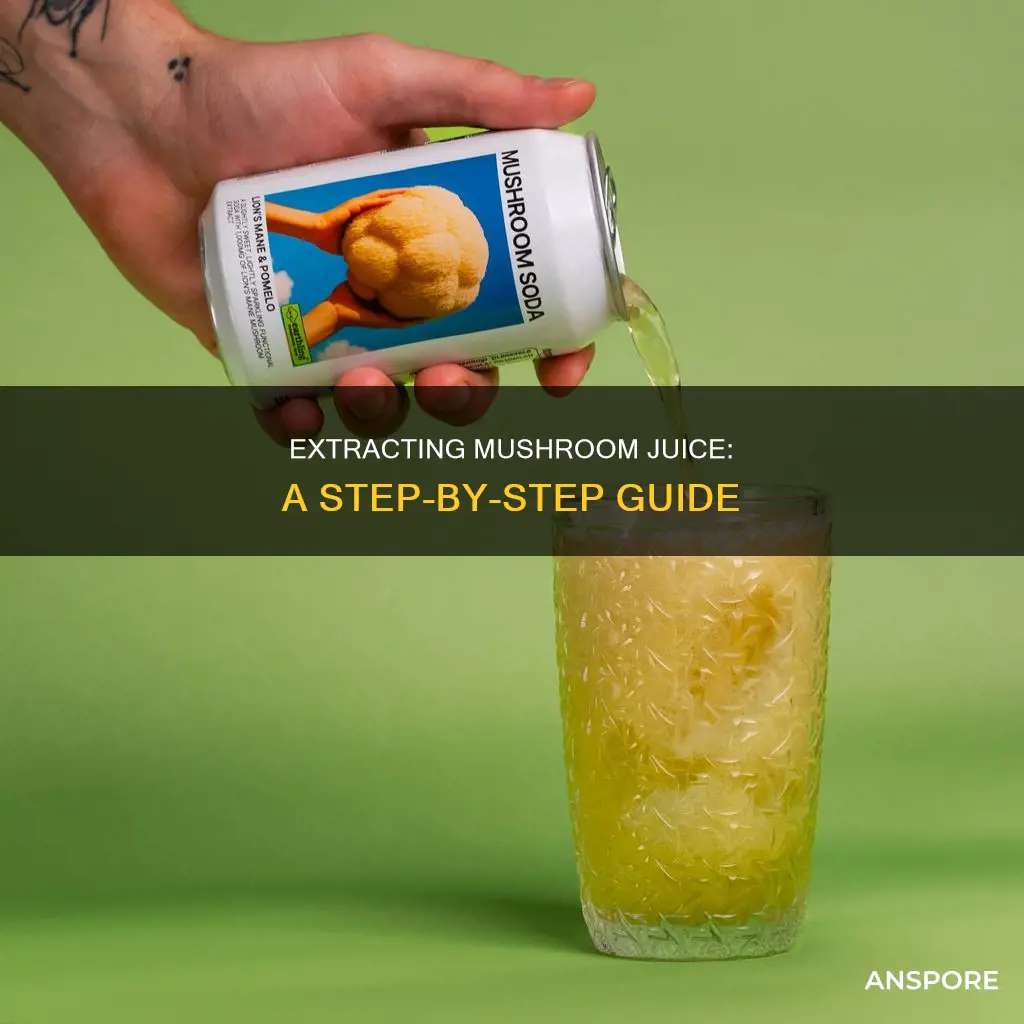 how to extract mushroom juice