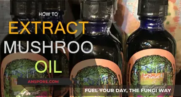 Extracting Mushroom Oil: A Step-by-Step Guide
