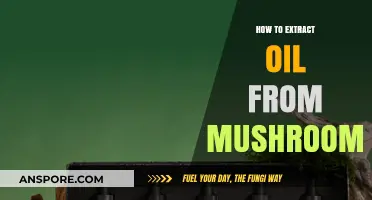 Extracting Mushroom Oil: A Step-by-Step Guide to Harvesting Nutrient-Rich Oil