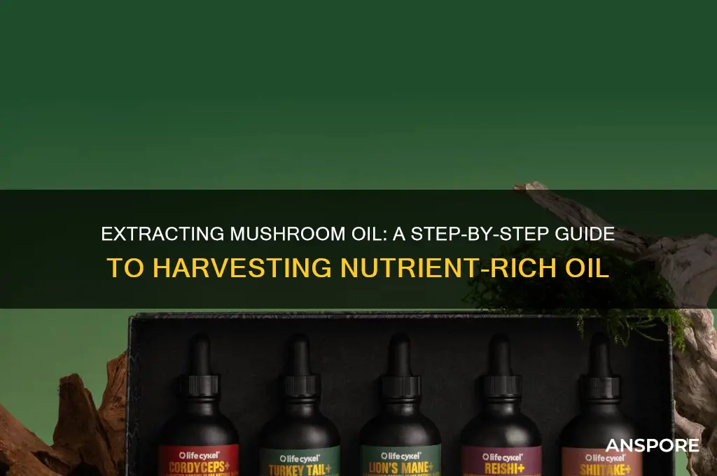how to extract oil from mushrooms