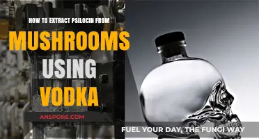 Extracting Psilocin from Mushrooms with Vodka: A Step-by-Step Guide
