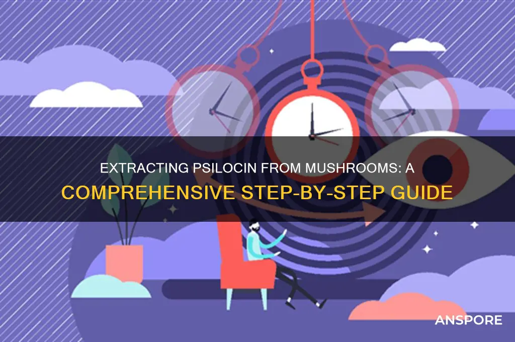 how to extract psilocin from mushrooms