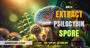 Mastering Psilocybin Spore Extraction: A Comprehensive Step-by-Step Guide