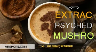Psychedelic Mushroom Extraction: A Guide to Harvesting Techniques