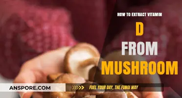 Unlocking Sunshine: Extracting Vitamin D from Mushrooms at Home