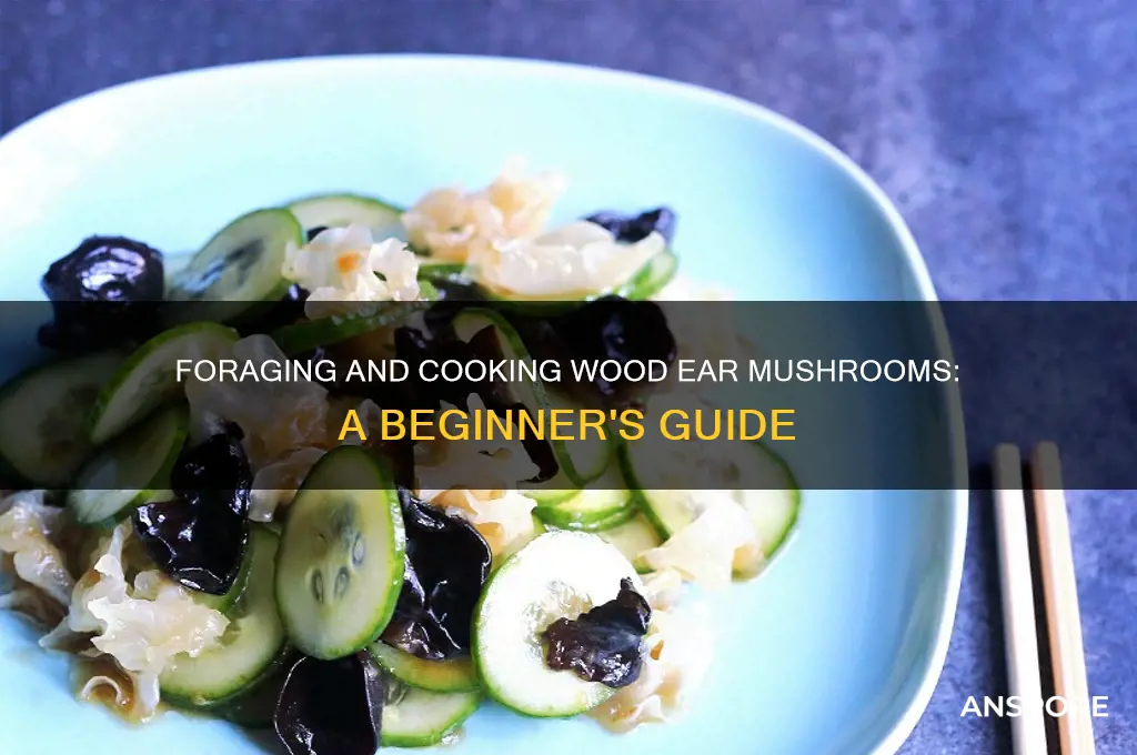 how to f wood ear mushroom