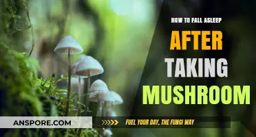 Calm Your Mind: Tips for Falling Asleep After Mushroom Use