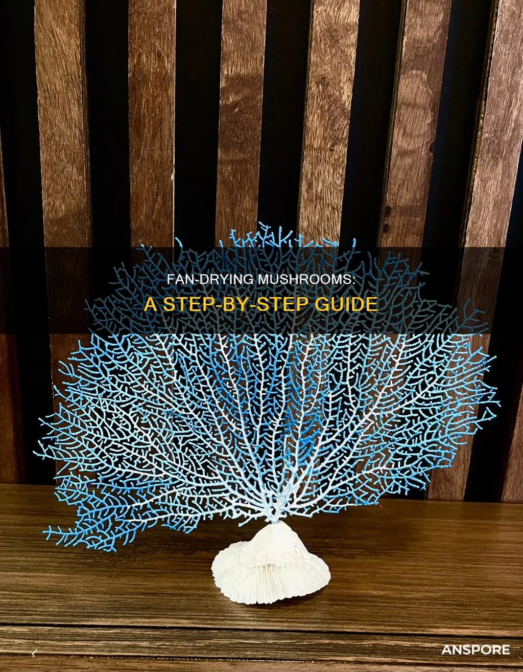 how to fan dry mushrooms