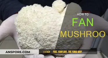 Grow Your Own: Fan Mushroom Farming at Home