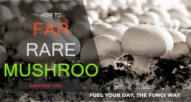 Rare Mushroom Foraging: A Comprehensive Guide