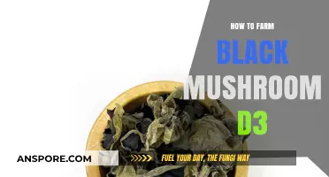 Mastering Black Mushroom Farming in Diablo 3: Tips and Strategies