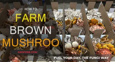 Growing Brown Mushrooms: A Comprehensive Guide