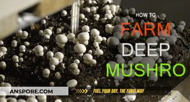 Cultivating Deep Mushrooms: A Comprehensive Guide to Farming