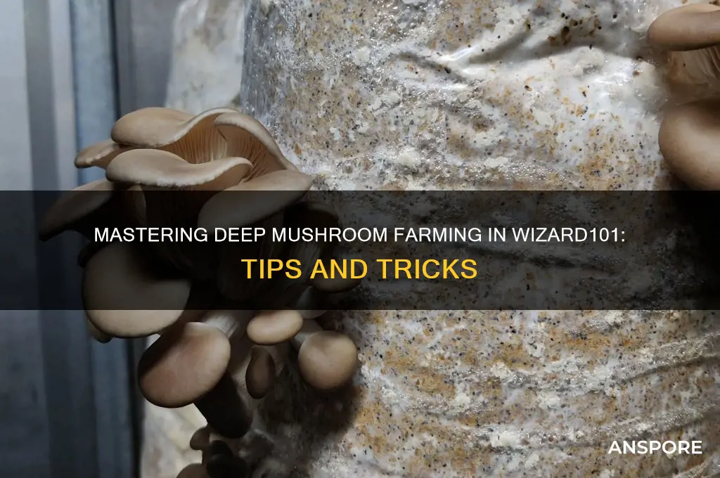 how to farm deep mushrooms wizard101