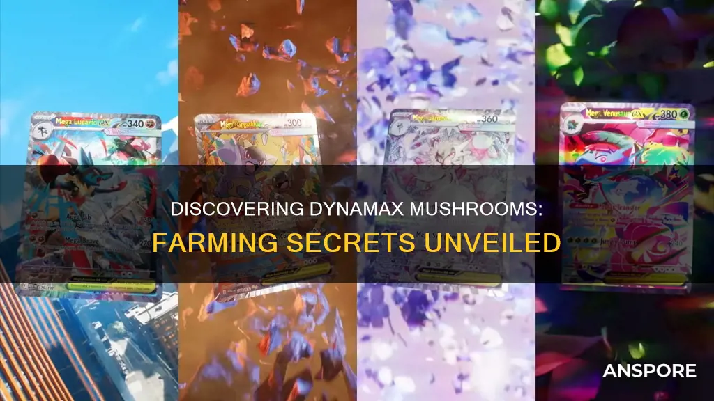 how to farm dynamax mushrooms