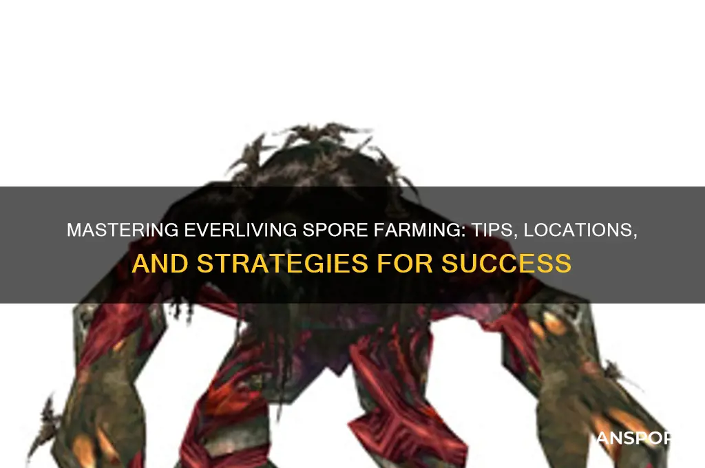 how to farm everliving spore