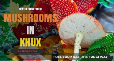 Mastering Forest Mushroom Farming in KHUX: Tips and Techniques