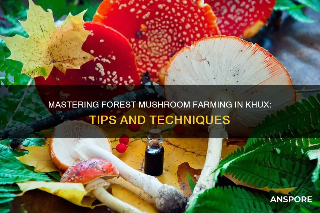 how to farm forest mushrooms in khux