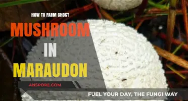 Farming Ghost Mushrooms in Maraudon: A Comprehensive Guide for Gamers