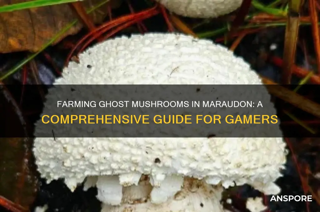 how to farm ghost mushroom in maraudon