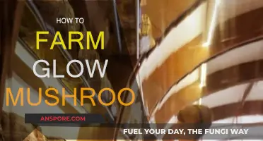 Glow Mushroom Farming: Tips and Tricks