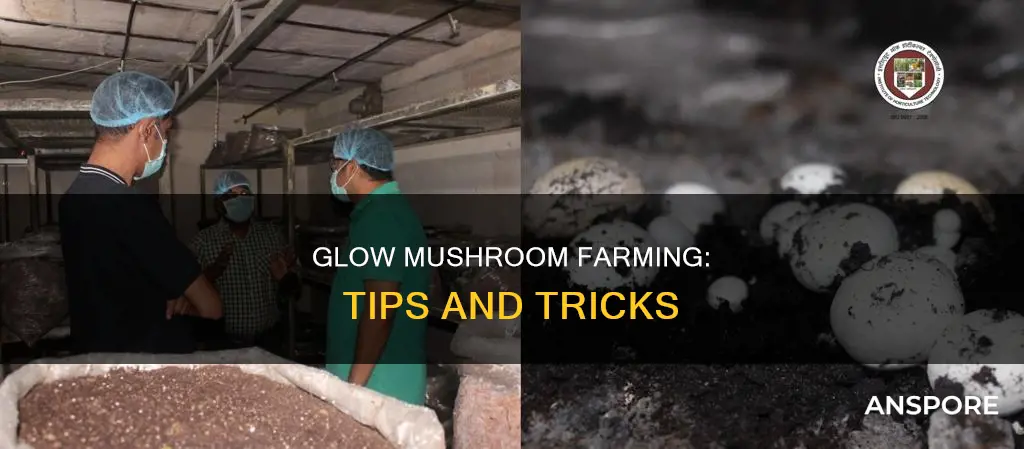 how to farm glow mushroom