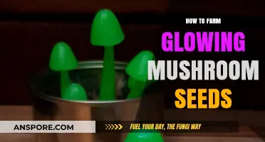 Mastering Glowing Mushroom Seed Farming: Tips for a Thriving Crop