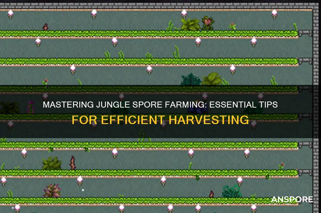 how to farm jungle spores