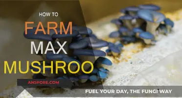 The Ultimate Guide to Farming Max Mushrooms