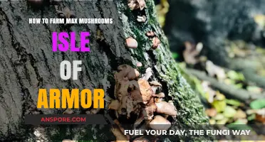 Mastering Mushroom Farming in Pokémon Isle of Armor: Ultimate Guide