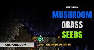 Mastering Mushroom Grass Seed Farming: Essential Tips and Techniques