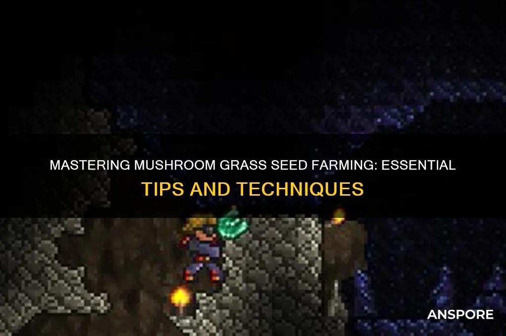 how to farm mushroom grass seeds
