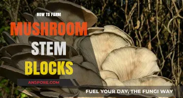 Mastering Mushroom Farming: A Guide to Growing Stem Blocks