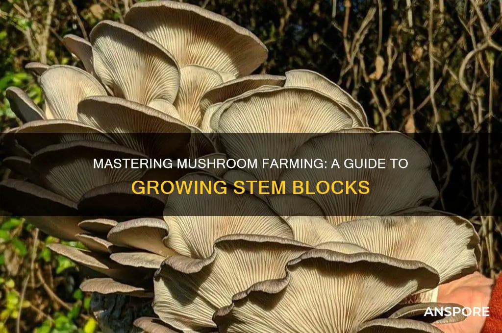 how to farm mushroom stem blocks