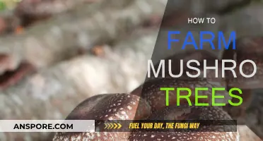 Grow Your Own Mushroom Trees: A Step-by-Step Guide
