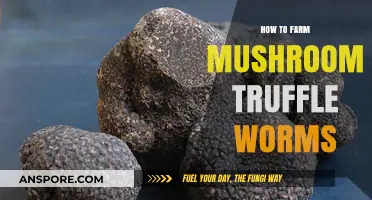 Mastering Mushroom Truffle Worm Farming: A Step-by-Step Guide