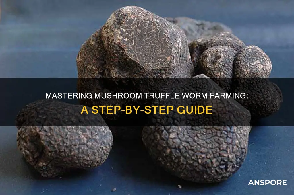 how to farm mushroom truffle worms