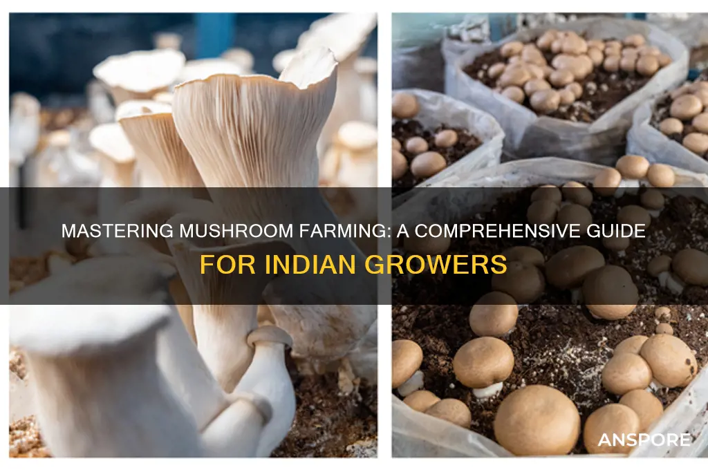 how to farm mushrooms in india
