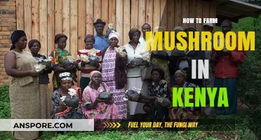 Profitable Mushroom Farming in Kenya: A Step-by-Step Guide to Success