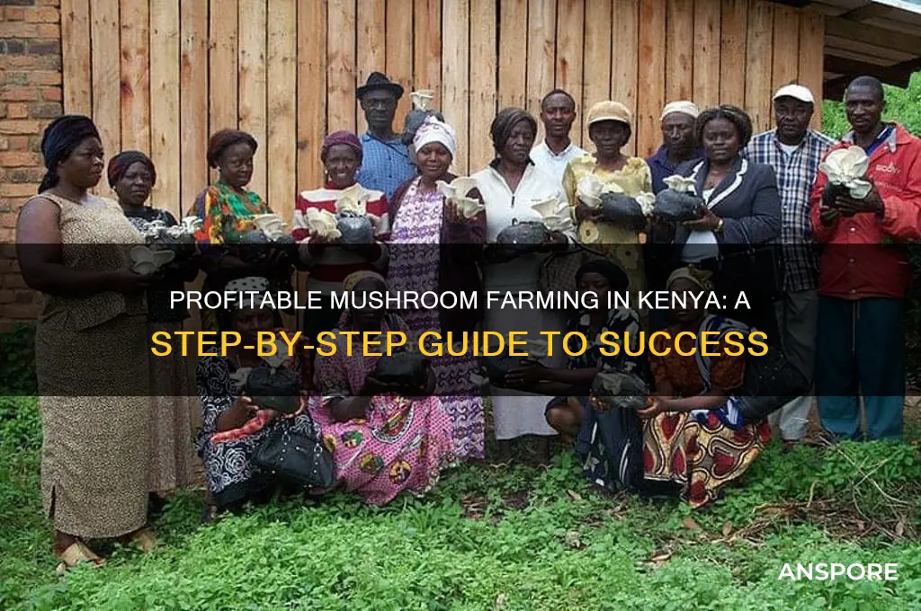 how to farm mushrooms in kenya